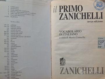 Il Primo Zanichelli Vocabolario Italiano 1999 - Libri e Riviste In vendita a  Padova