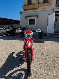 Beta 300 2t Xtrainer