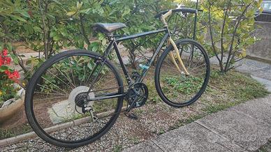 Bicicletta adulto ritirabile a Lignano (UD)