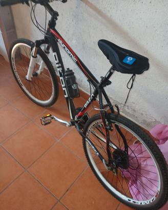 bicicletta uomo mountbike