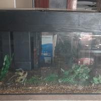 acquario 120 lt