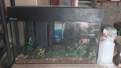 acquario 120 lt