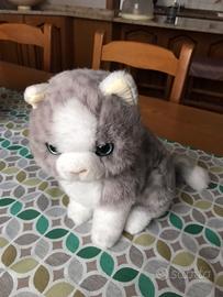 Peluche gatto