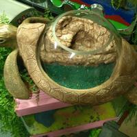 Tartarughiera per arredo in resina piena