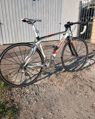 bicicletta