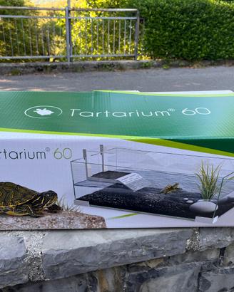Tartarughiera Ciano Tartarium 60 + riscaldatore