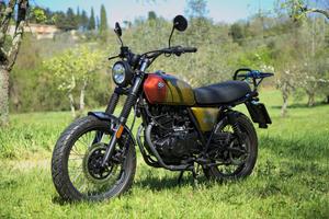 Brixton Saxby 250 - 2020