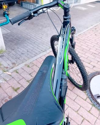 MTb Eclipse