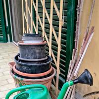 2 Piante ed altro materiale da giardino 