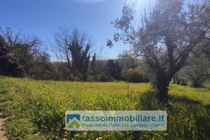 Rustico / Casale di 70 m² con 5 locali a Ortona
