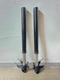 Forcelle Ktm Duke 790 2020 