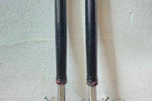 Forcelle Ktm Duke 790 2020 