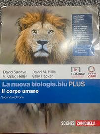 il corpo umano scienze