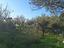 Immagine 20