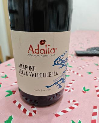 Amarone della Valpolicella 2016 perfetto