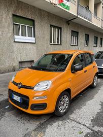 Panda easy 1.2 - 2019 - 43mila Km