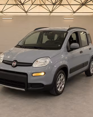 FIAT Panda III 2021 - Panda 1.0 firefly hybrid Cit