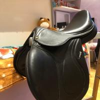 DISPONIBILE SELLA DA SALTO OSTACOLI