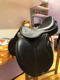 DISPONIBILE SELLA DA SALTO OSTACOLI