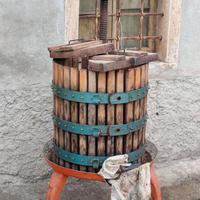 Torchio per uva