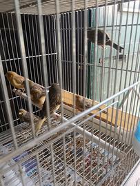 Prezzo pazzo in blocco