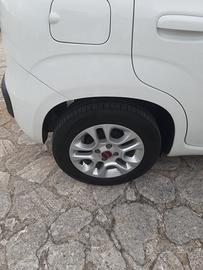 cerchi e gomme FIAT da 14"