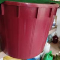 tino x schiacciare l uva 