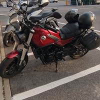 Benelli Leoncino 500 A2 perfetta