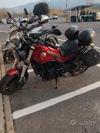 Benelli Leoncino 500 A2 perfetta