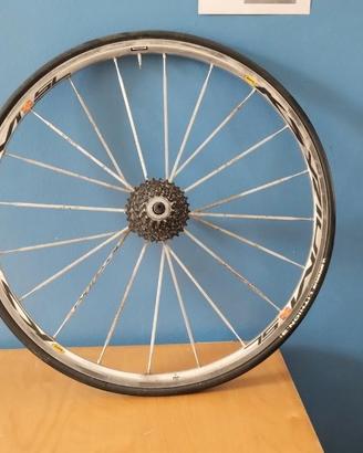 Ruota Mavic Ksyrium SL