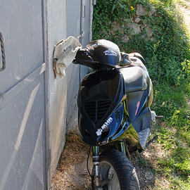 Nrg mc3 extreme 2.000