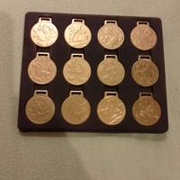 I grandi campioni di Topolino 
