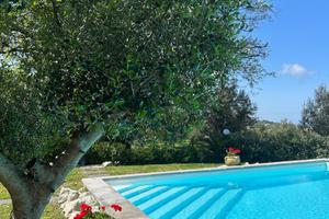 Villa con piscina - Villa Grazia