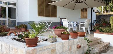 Vacanza a marina di camerota