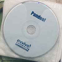 GIOCO EVVIVA SOFTWARE - PANDOO! PC SOLO CD