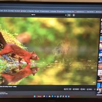 MSI MAG 274QRF QD E2 Monitor Gaming