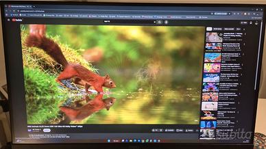 MSI MAG 274QRF QD E2 Monitor Gaming