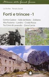 Forti e trincee. Volume 1