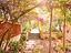 Immagine 24