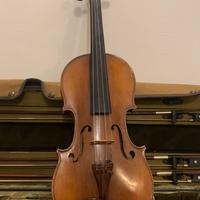 Violino