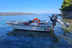 barca Boston Whaler 11' (3,5 mt.)