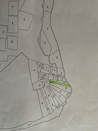 Terreno boschivo/seminativo con querce secolari