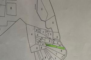 Terreno boschivo/seminativo con querce secolari