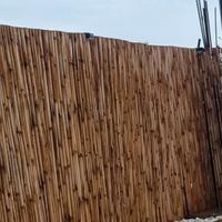 Canneto Arella bambù filo passante