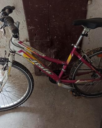 Mountambike