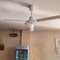 ventilatore da soffitto vortice 