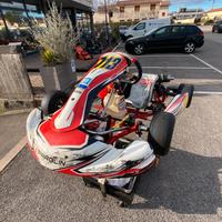 KART MINI PAROLIN