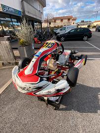 KART MINI PAROLIN