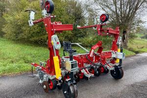 Sarchiatrice BADALINI