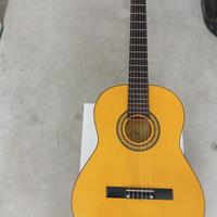 Chitarra Eko